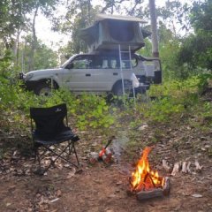 Australia (Cape York - Olive River)